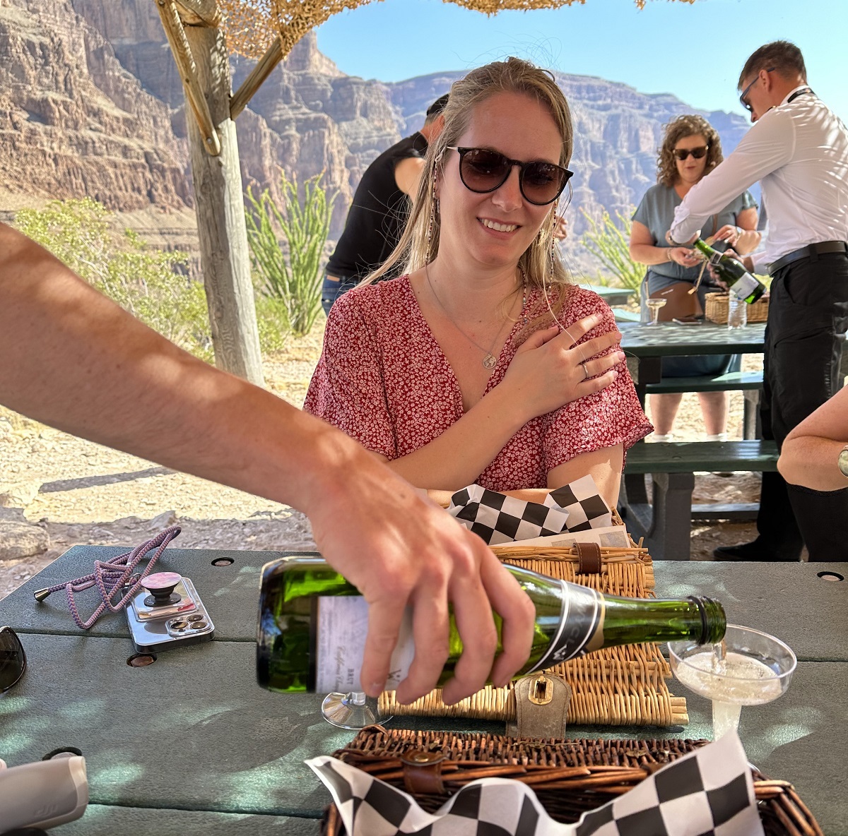 Picnic Grand Celebration Tour